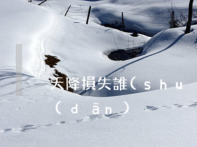 天降損失誰(shuí)來(lái)承擔(dān)？不可抗力不賠！